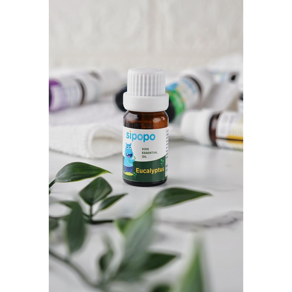 [ASLI] SIPOPO Essential Oil Eucalyptus Kualitas PREMIUM + VCO GRATIS