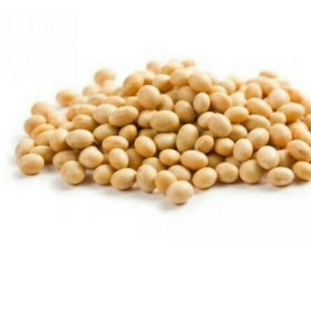 

Kacang kedelai