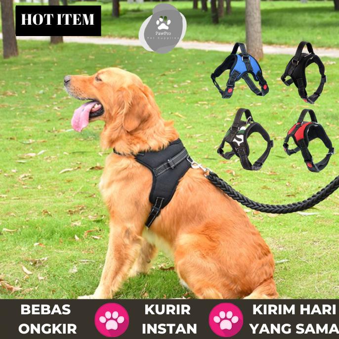 DISKON PERAWATAN ANJING HARNESS ANJING|DOG HARNESS|HARNESS ANJING BESAR|HARNESS ANJING MEDIUM SALE