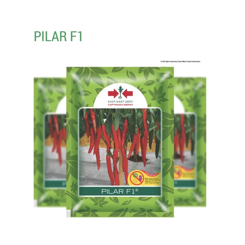 Benih Cabe Besar Merah PILAR F1 1500 Butir