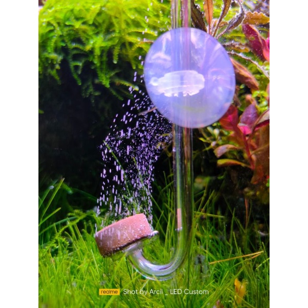 diffuser keramik CO2 cisod/ragul/co2 tabung