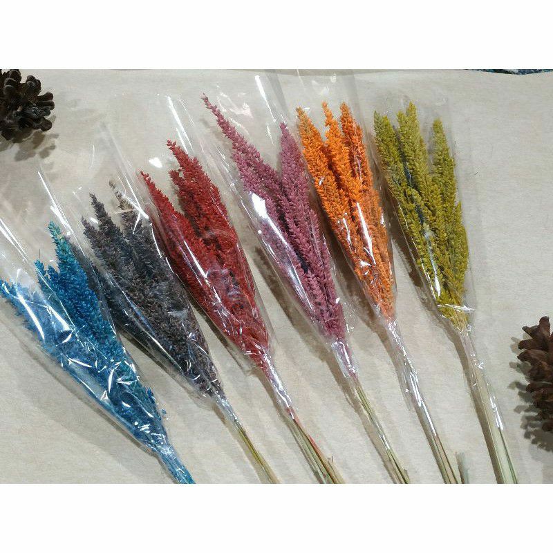 bUNGA KERING Jawan grass kuning kering/ rustik