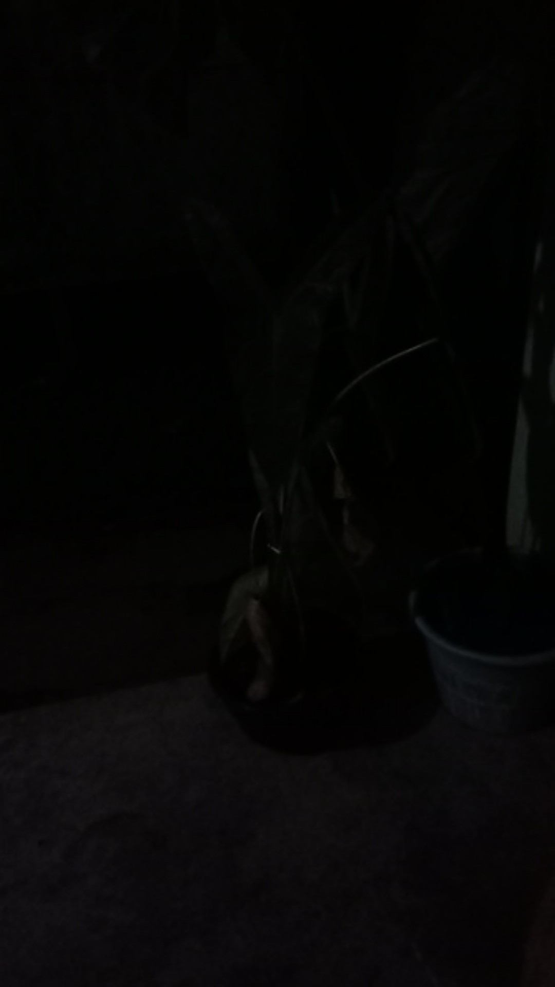 Feed Set Piring Air Panas + Saringan Baby Kiddy Kd8201