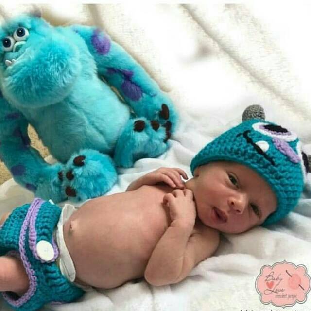 newborn sully costume