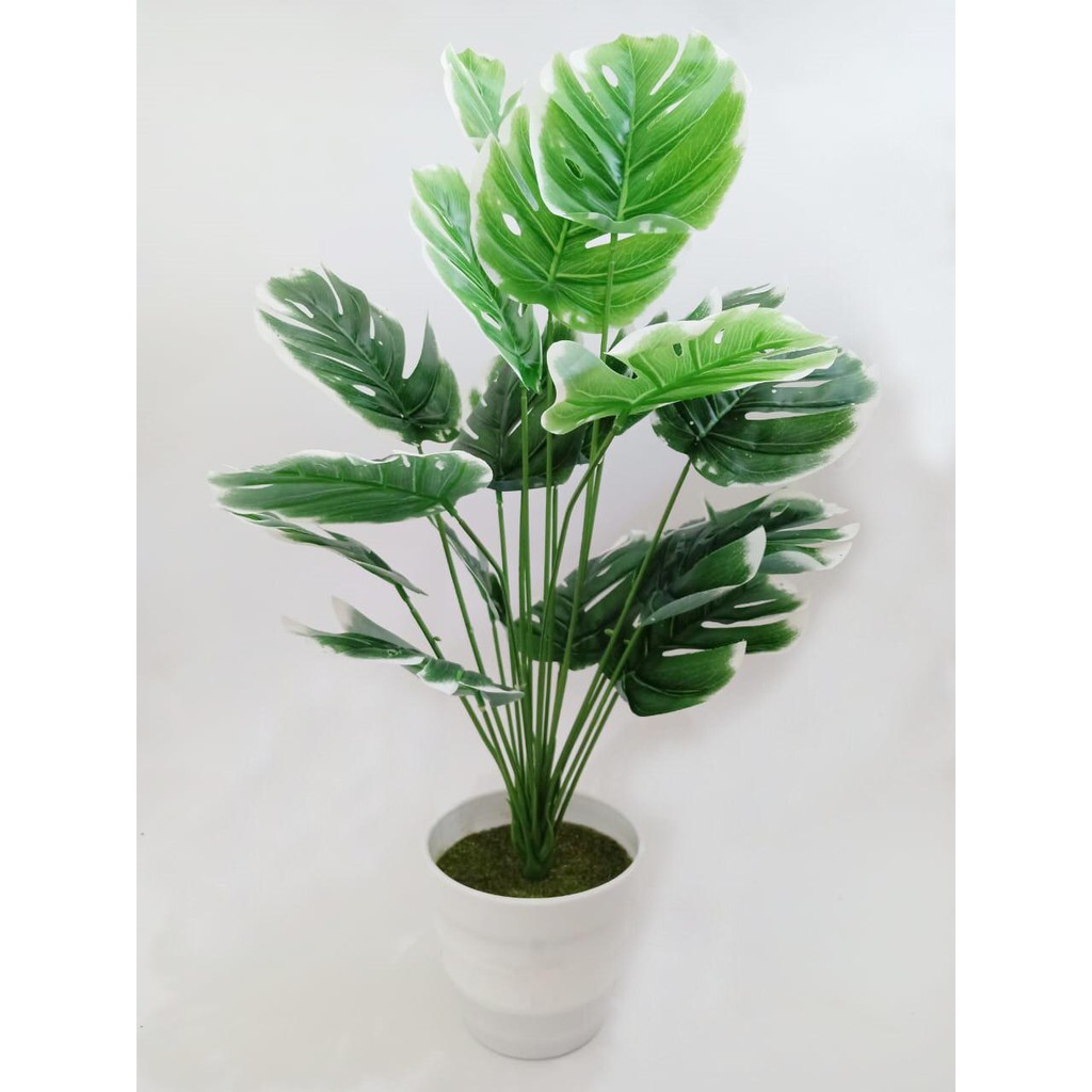 COD TANAMAN HIAS MONSTERA BESAR TANAMAN DAUN PLASTIK TANAMAN HIAS RUMAH BUNGA PLASTIK  BP8843-HIJAU PUTIH