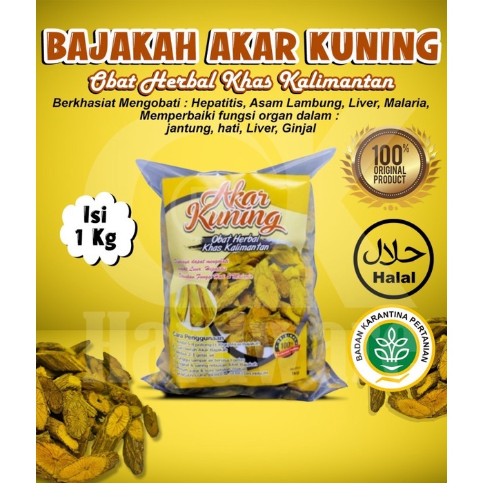 KAYU BAJAKAH AKAR KUNING OBAT HERBAL SUPER ORIGINAL ASLI KALIMANTAN TERMURAH