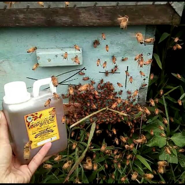 

Madu Mentah Murni / Raw Honey