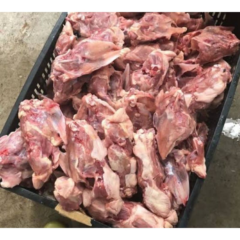 

Kerongkongan Ayam