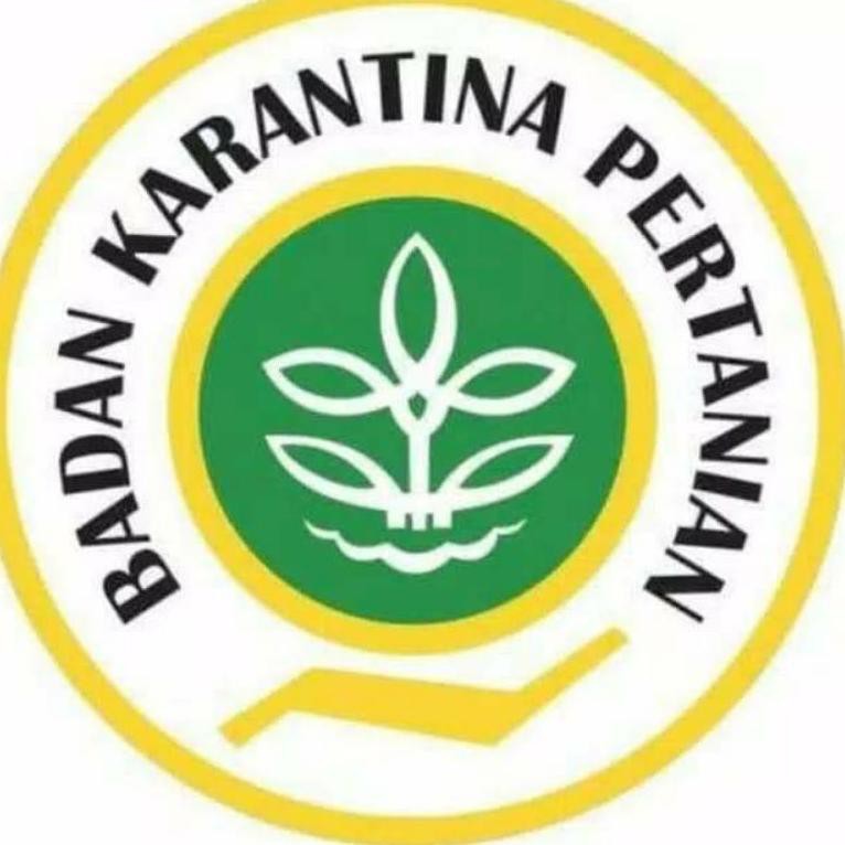 TERTINGGI PROMO kaladium black beauty keladi hitam bunga hidup tanaman hias