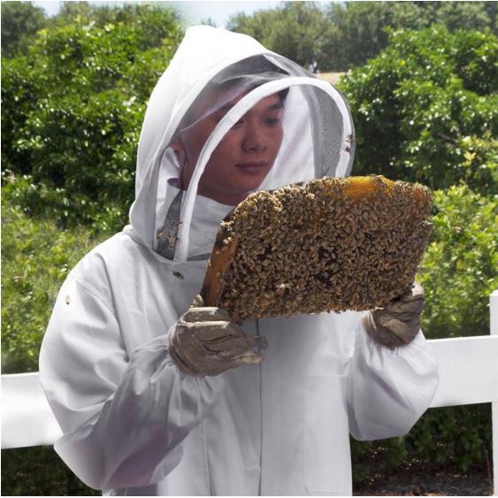 Image of Beekeeping - Baju Jaket Anti Lebah #5