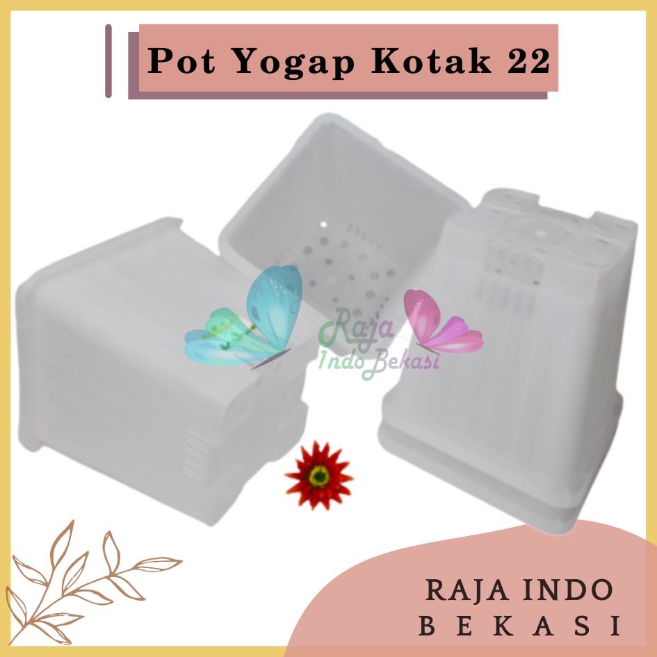 Pot Yogap Kotak 22 Transparan Bening Clear Pot Yogap 10 13 15 17 18 19 25 30 Pot Yogap Lusinan Pot Kotak Panjang Tinggi Pot Segi Empat Hias Panjang Plastik