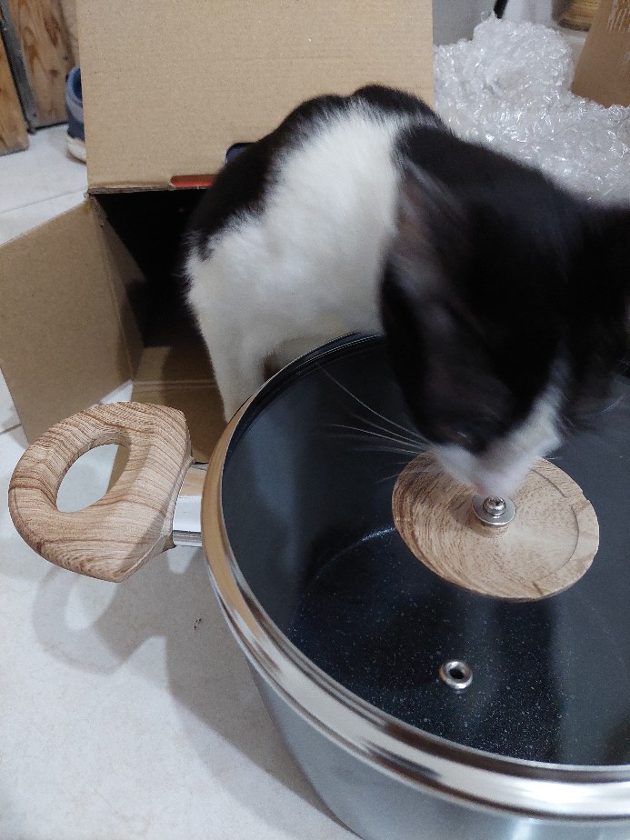 Yoshikawa Mj1212 20cm Panci Tinggi Marble Tutup Kaca Fry Wok ( Iop-3 )