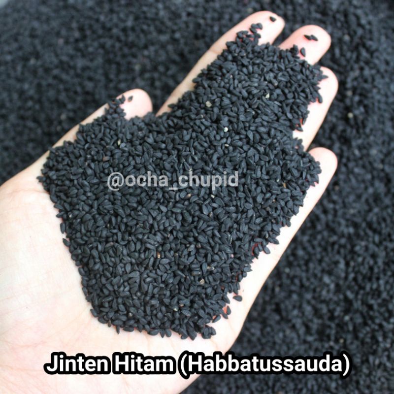 

Jintan Hitam Habbatussauda