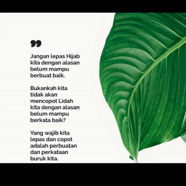yusufakhyar
