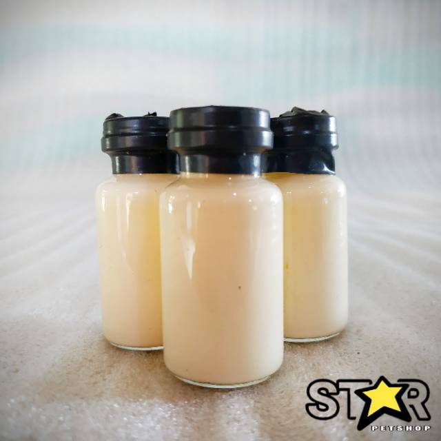 Obat koreng ayam ampuh