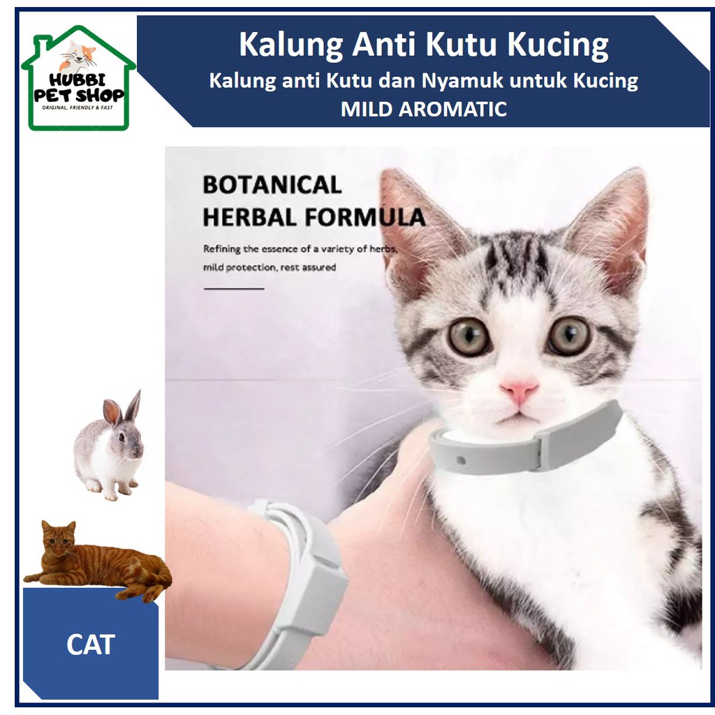 Kalung Kucing Anti Kutu Botonical Herbal Formula Aman untuk Kucing  Pet Collar anti Flea and Tick