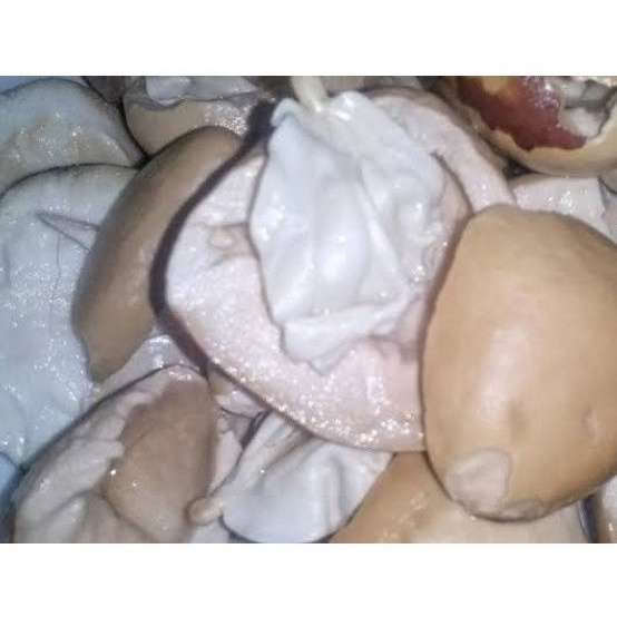 

Picung 100gr/ Picung Muda/ Kluwek Muda/ Kluwak Muda/ Kluwek / Kepayang/ Kepahiyang/ Pucung Muda