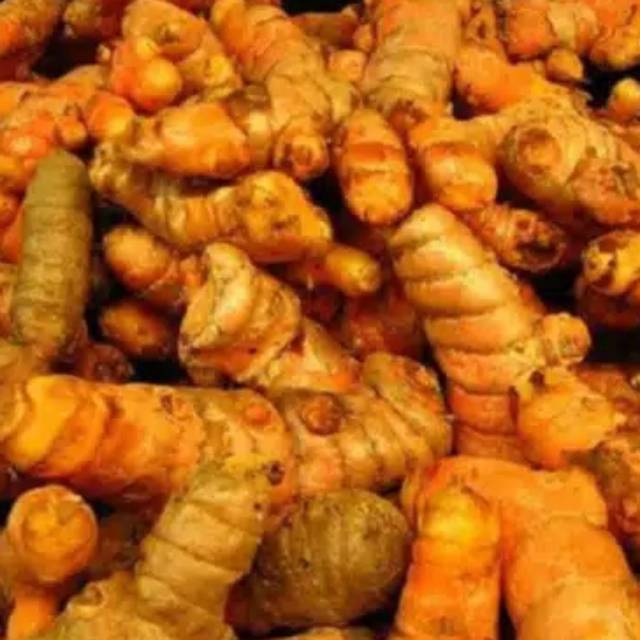 

Kunir Segar 500gr