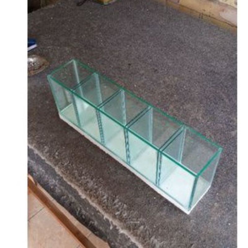 Soliter cupang sekat 5/5 kamar ukuran 50x10x15