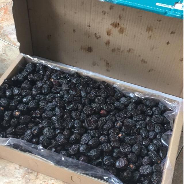 

Kurma Ajwa MURAH