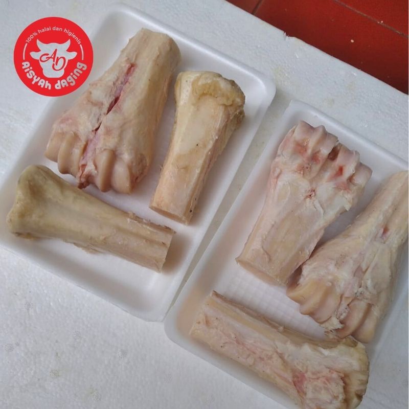 

Sumsum Kaki Sapi 1 Kg | Aisyah Daging