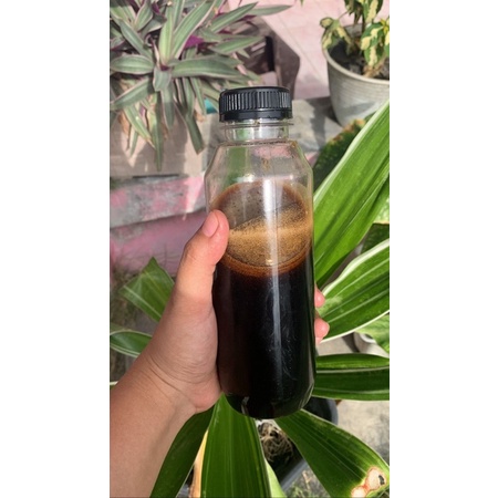 

MADU HUTAN AKASIA