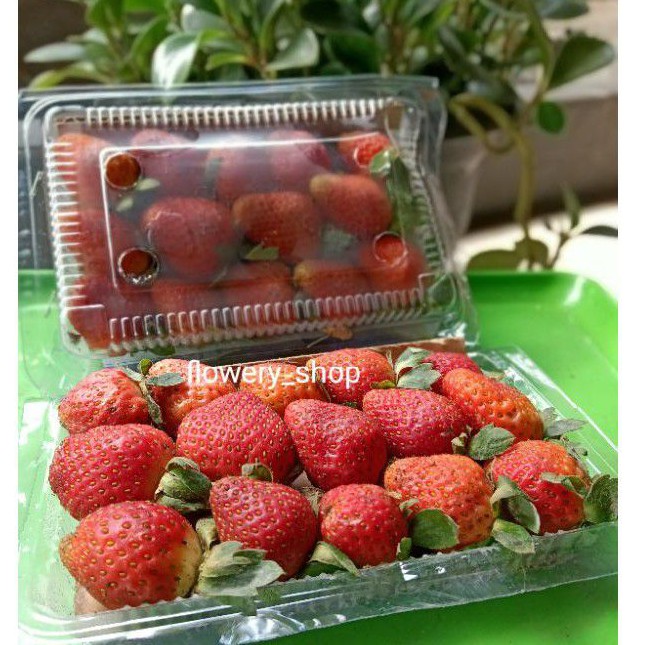 

Buah Strawberry | buah strawberry bandung