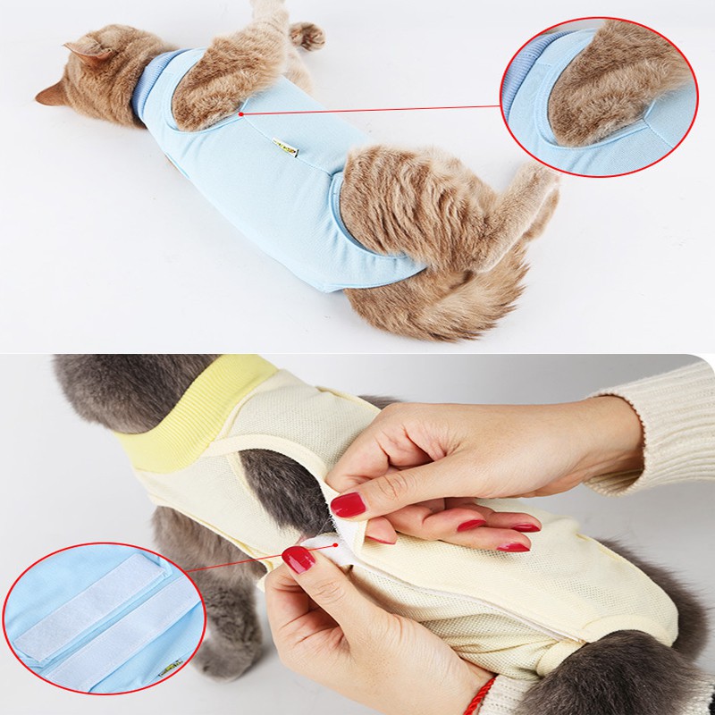 ★〓YUFeiPet〓★ Elizabeth Series Kitty Weaning Sterilization After Surgery of Cat Clothes