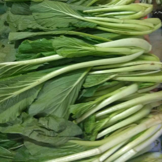

Sayur sawi segar 1kg