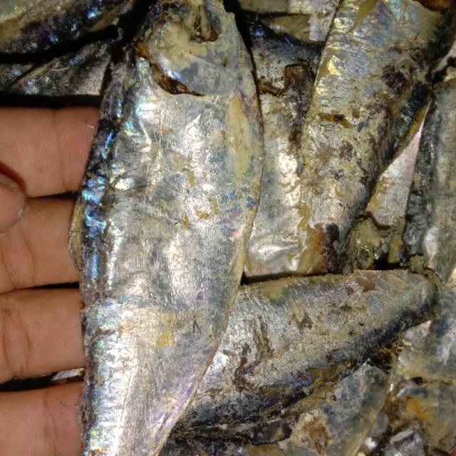 

Ikan asin sampah isi 1 Kg Termurah
