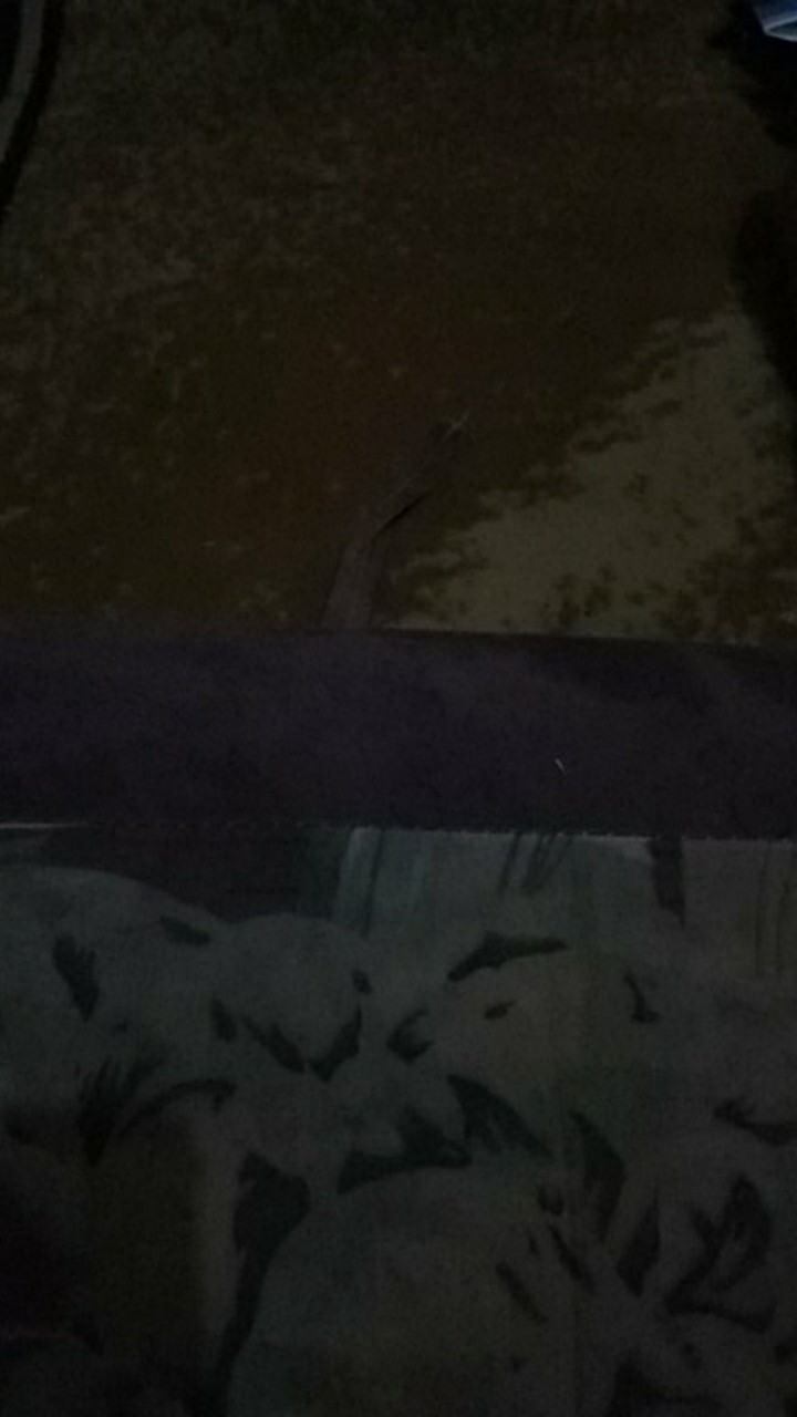 Quick Coupler 20 Sm Dan 20 Pm