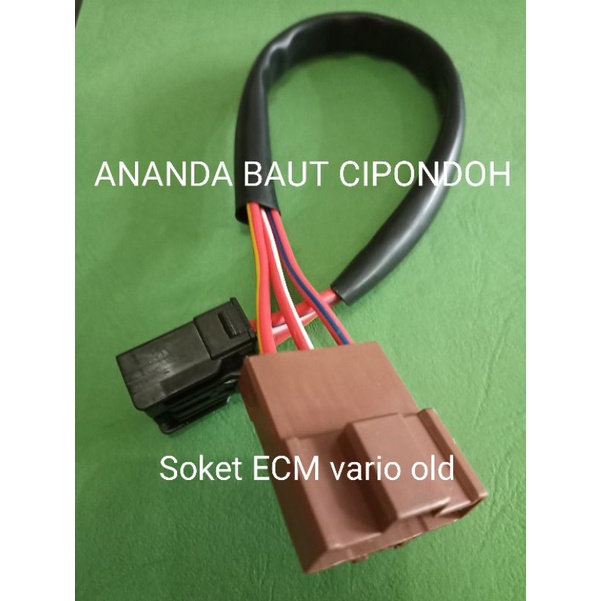 Soket ECM vario 125 pcx