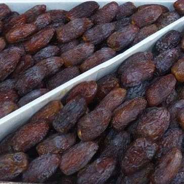 

Kurma Medjool PALESTINE Premium 1 Dus 5 Kg