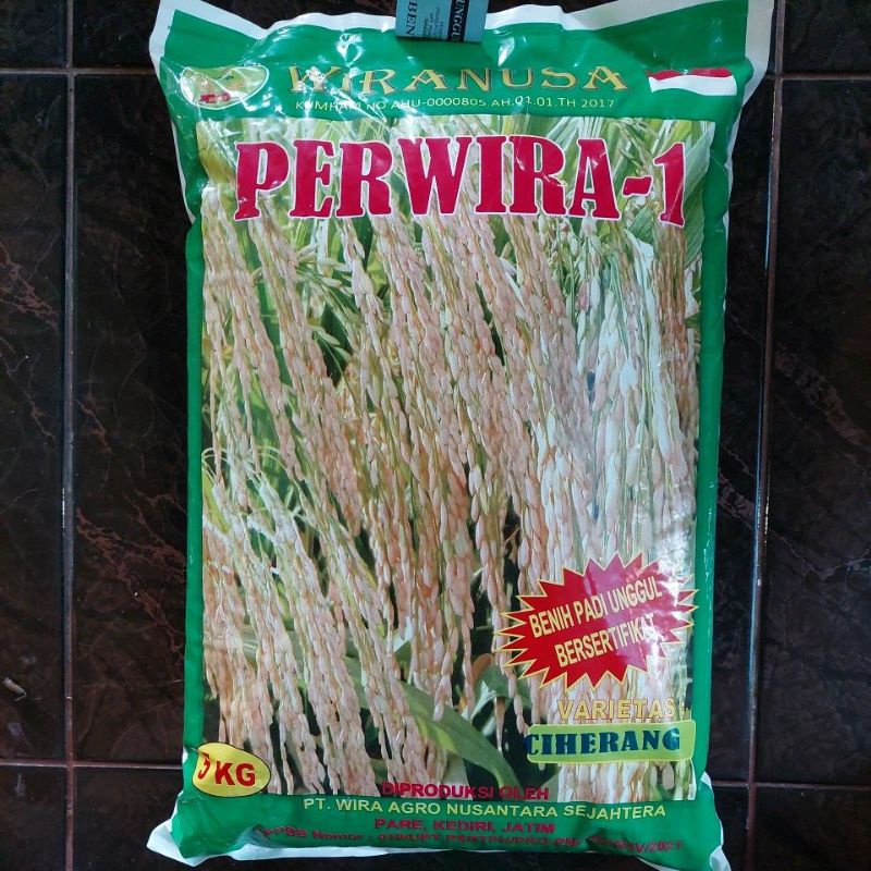 benih padi varietas ciherang 5kg