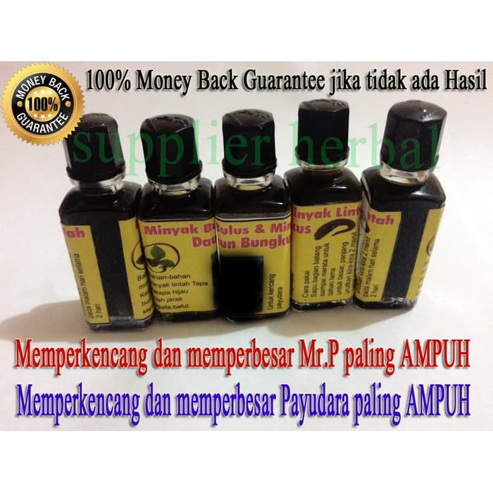 Minyak Bulus + Lintah Hitam + Daun Bungkus ASLI PAPUA 100% ORIGINAL