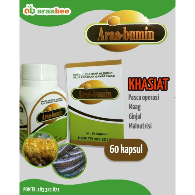 Kapsul Araabumin kapsul ikan gabus & extrax gamat emas**-