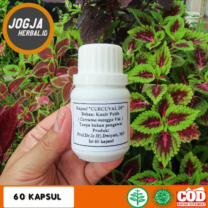 [JOGJAHERBAL.ID] Curcuval DP - KUNYIT PUTIH / KUNIR PUTIH Kapsul Prof Dwiyati Pujimulyani TERMURAH