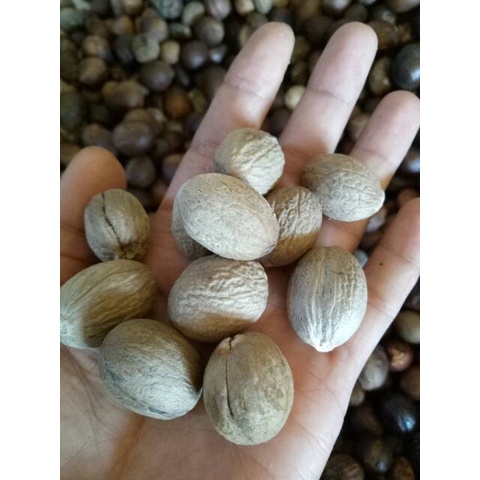 

KUKURING Biji Pala Kupas Super Per 500 gr