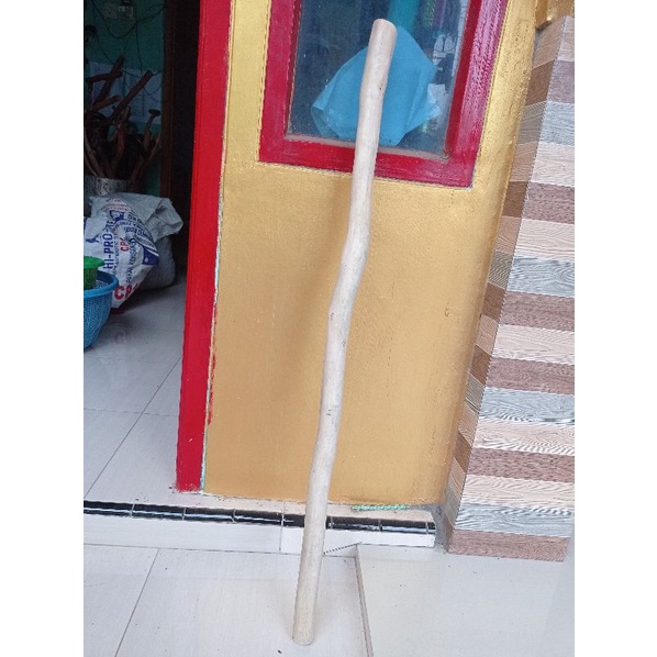 tongkat jalan kayu ranting cendana kupang