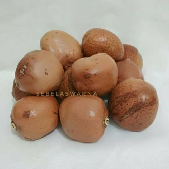 

Zuriat Mesir singel 500 gram