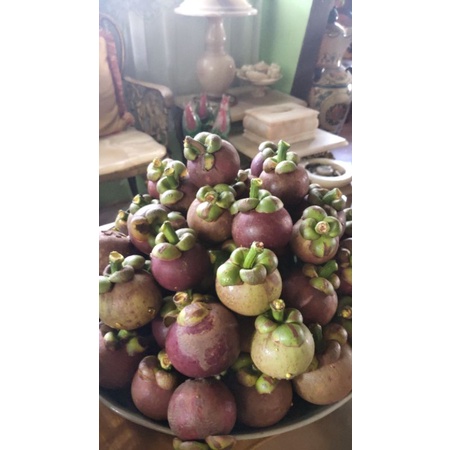 

Buah Manggis Fresh 1KG,dst