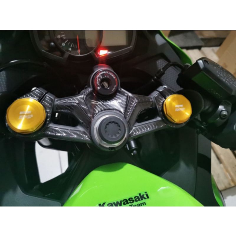 Stiker Resin Timbul Stang Segitiga Ninja ZX25R