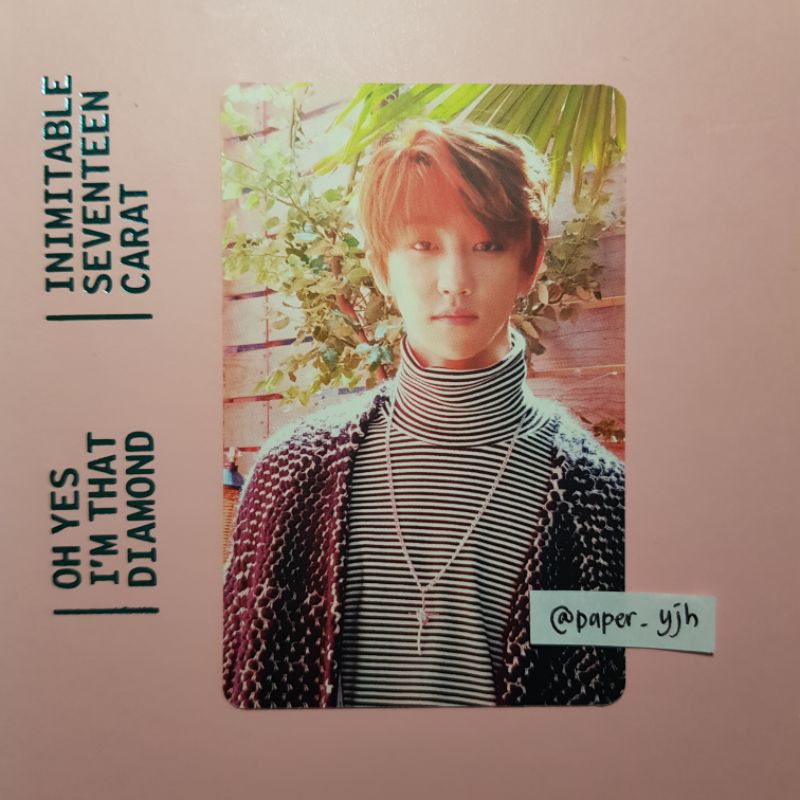 Official Photocard PC The8 Seventeen Teen, Age