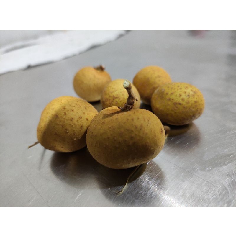 

Buah lengkeng Thailand Super / kelengkeng bangkok 500 gram - 10 kg