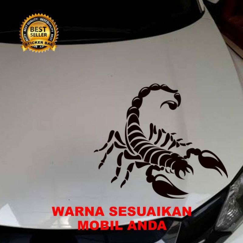 STIKER MOBIL SCORPION  STIKER SCORPION CUTTING STIKER BODY MOBIL ,KACA BELAKANG MOBIL