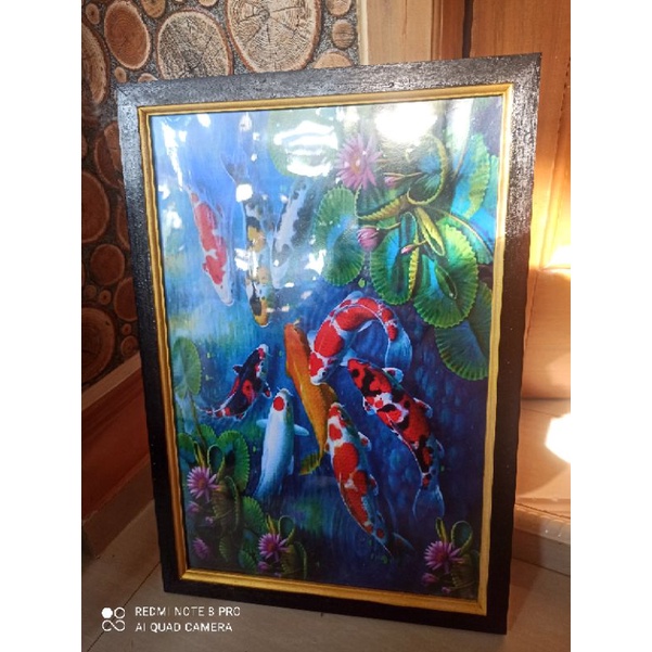Hiasan Dinding Cetak gambar plus bingkai ikan koi ukuran 35x52cm