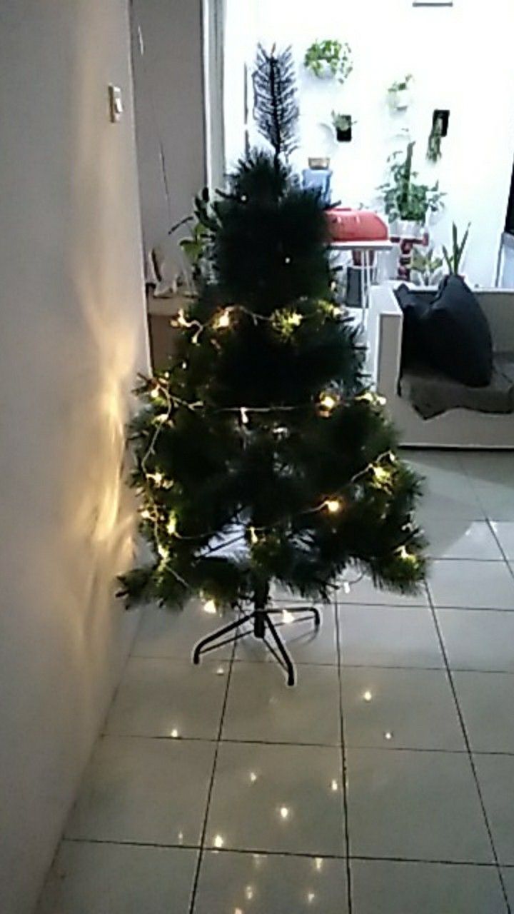Pohon Natal Jarum Premium Tinggi 1.5 Meter 150 Cm 5 Feet Ft Tipe Pine Christmas Tree