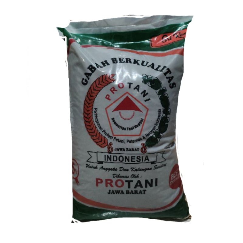 Padi genjah terbaru 70HST SRI REN - benih padi sri ren 5kg