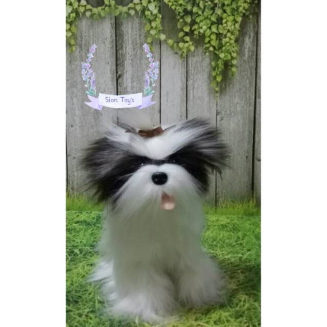 Boneka Anjing Shihtzu Lucu