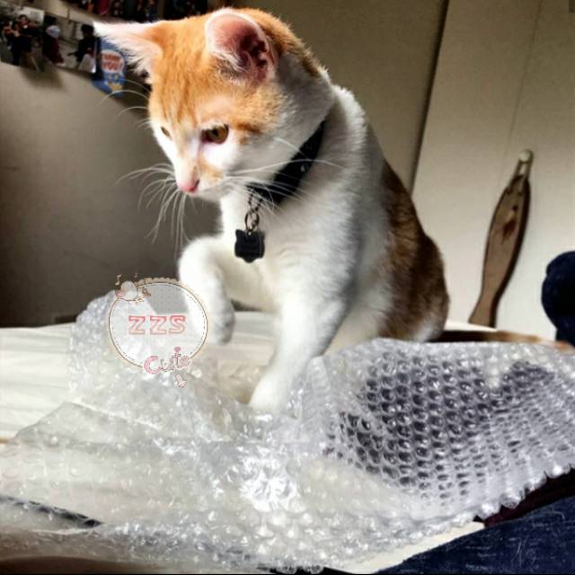 

Tambahan Extra Bubble Wrap / Gelembung / Pengaman Paketan / Dokumen / Berkas / Orderan